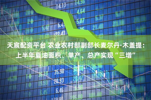 天宸配资平台 农业农村部副部长麦尔丹·木盖提：上半年夏油面积、单产、总产实现“三增”