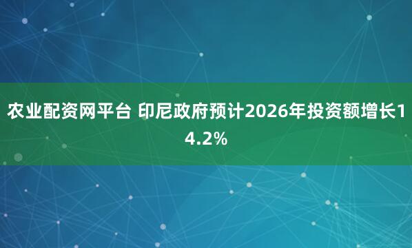 农业配资网平台 印尼政府预计2026年投资额增长14.2%