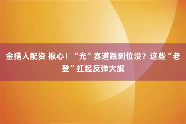 金猎人配资 揪心！“光”赛道跌到位没？这些“老登”扛起反弹大旗